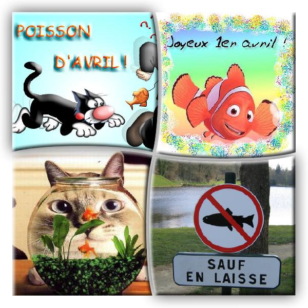 coucou pour le 1er Avril