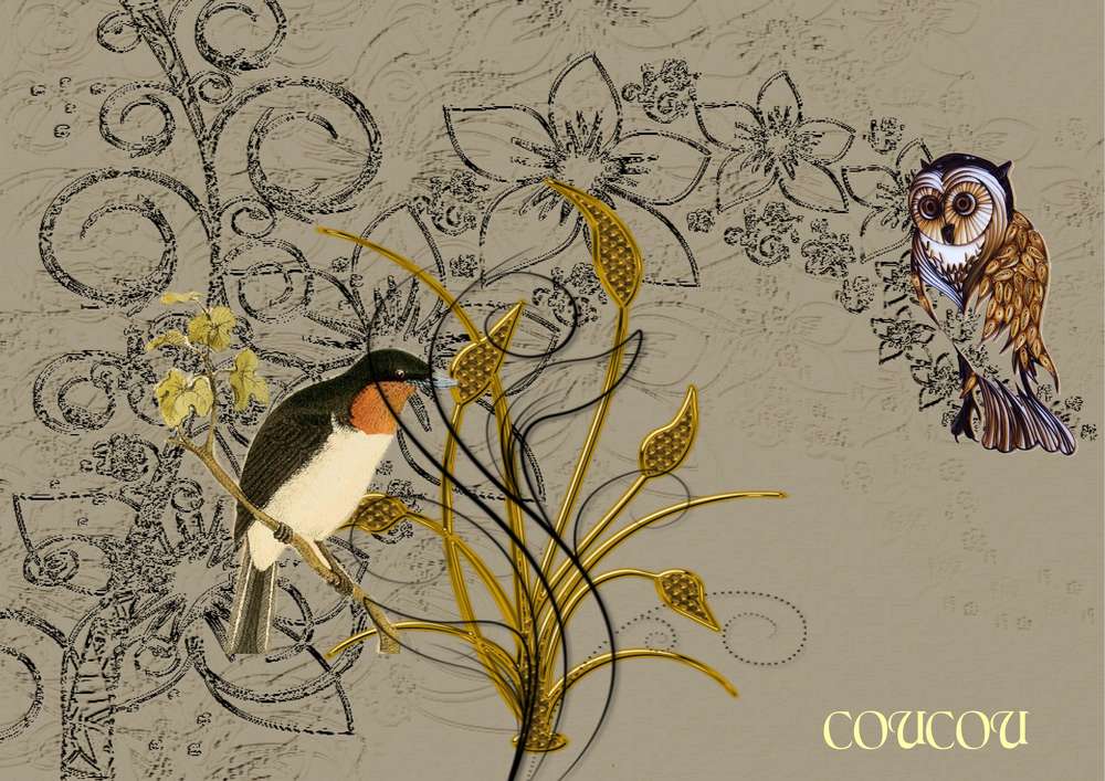 COUCOU8