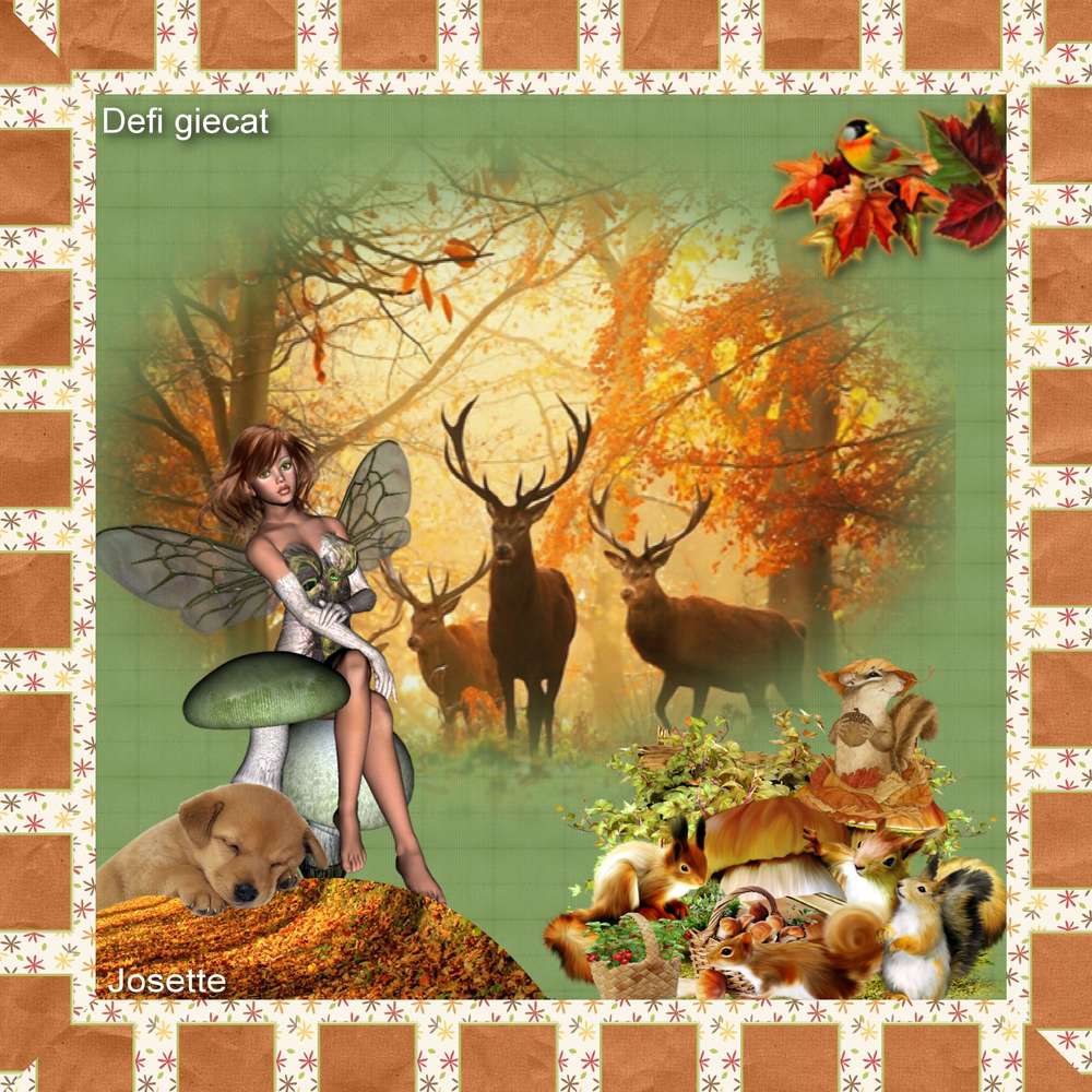 Couleur automne 2016