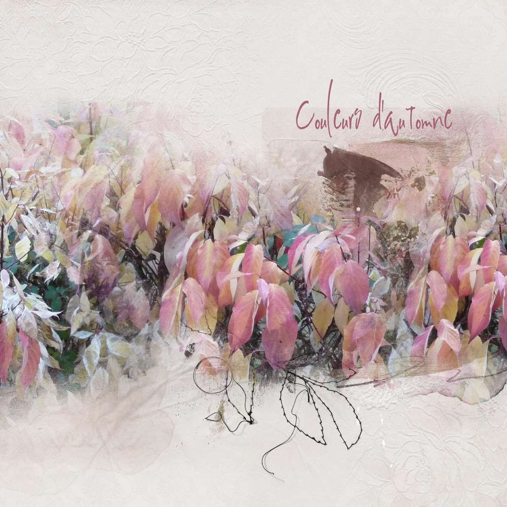 Couleur Automne