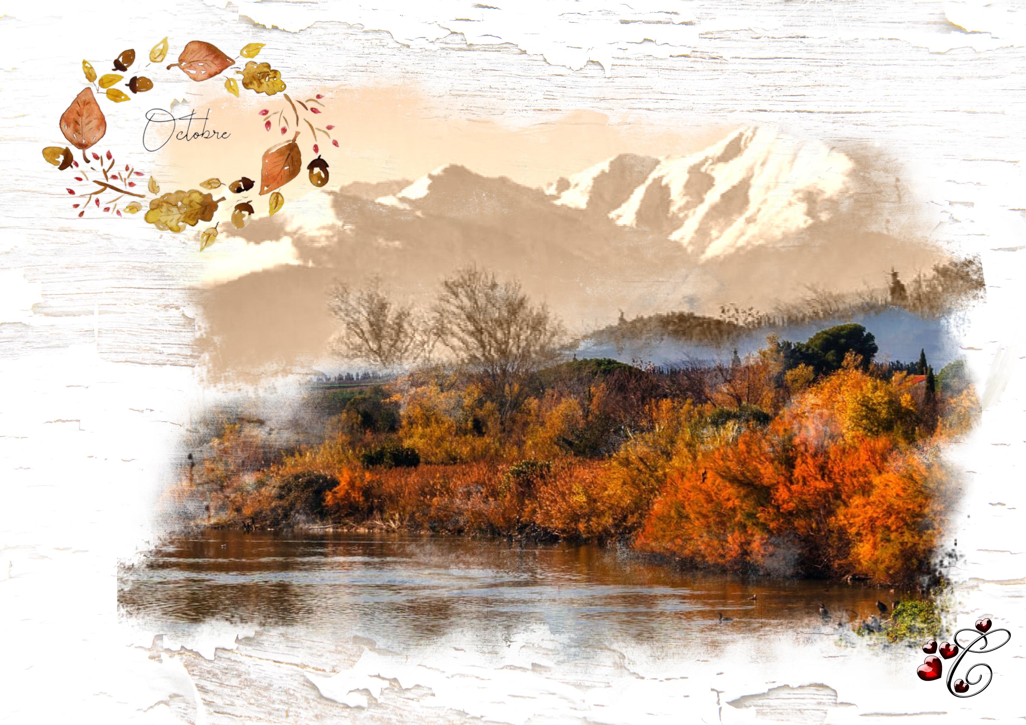 couleur d'Octobre.jpg