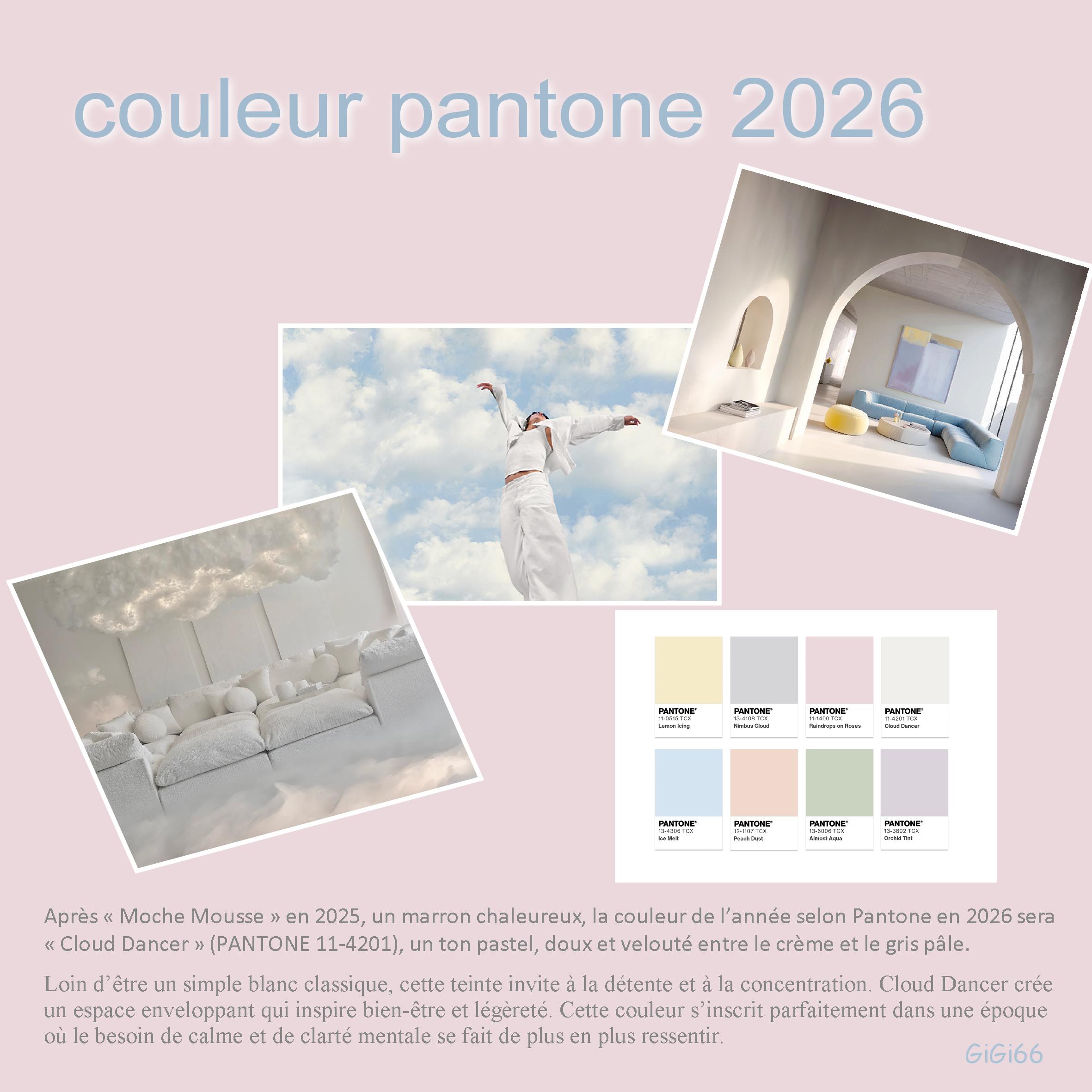couleur pantone 2026.jpg