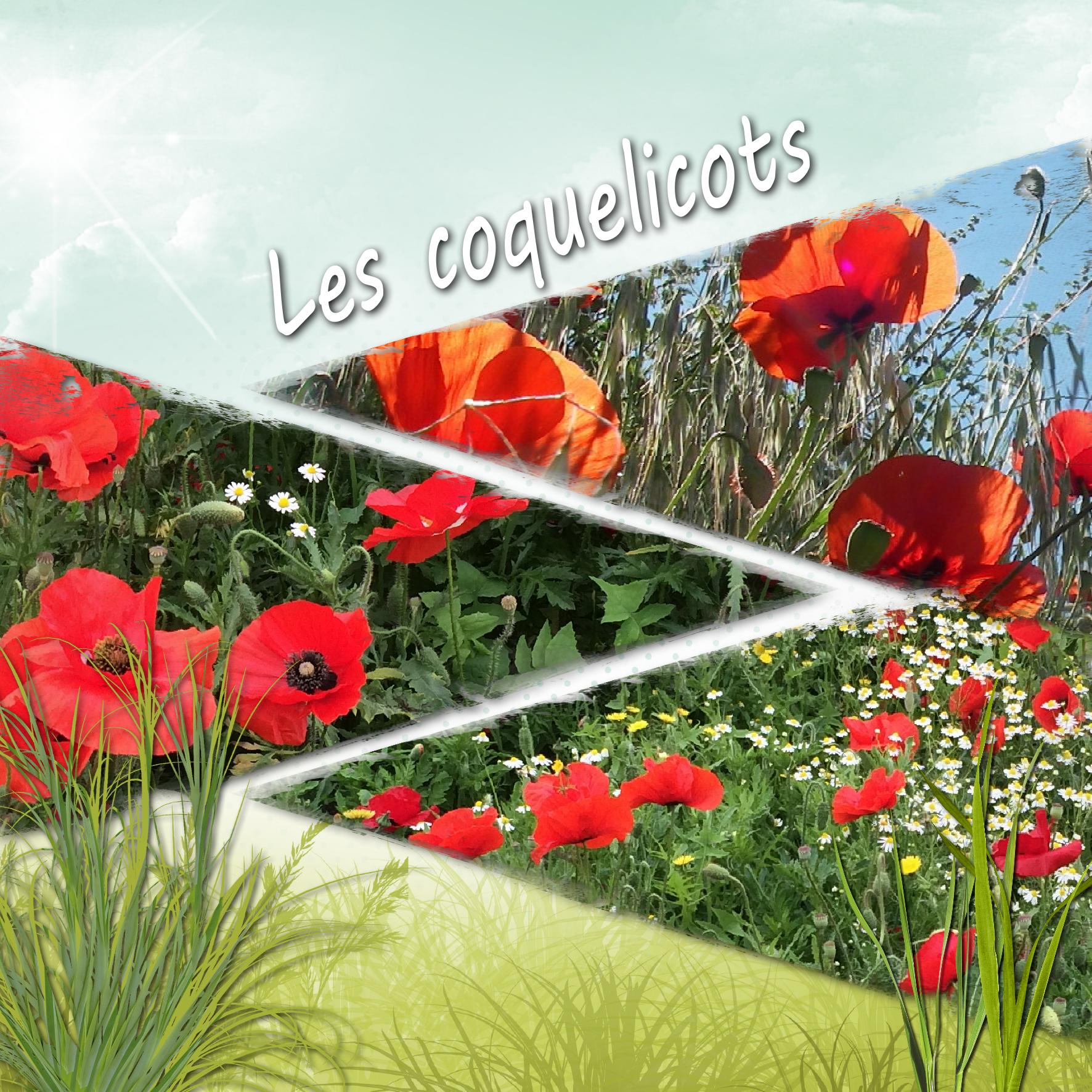 couleurs été