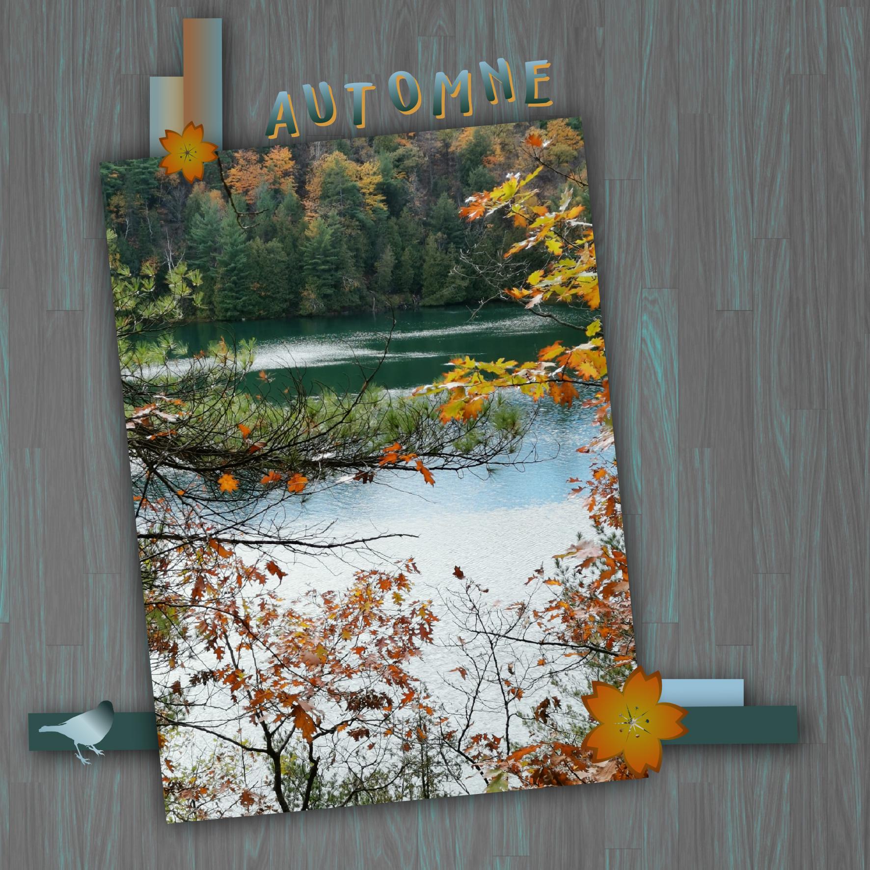 Couleurs automnales.jpg