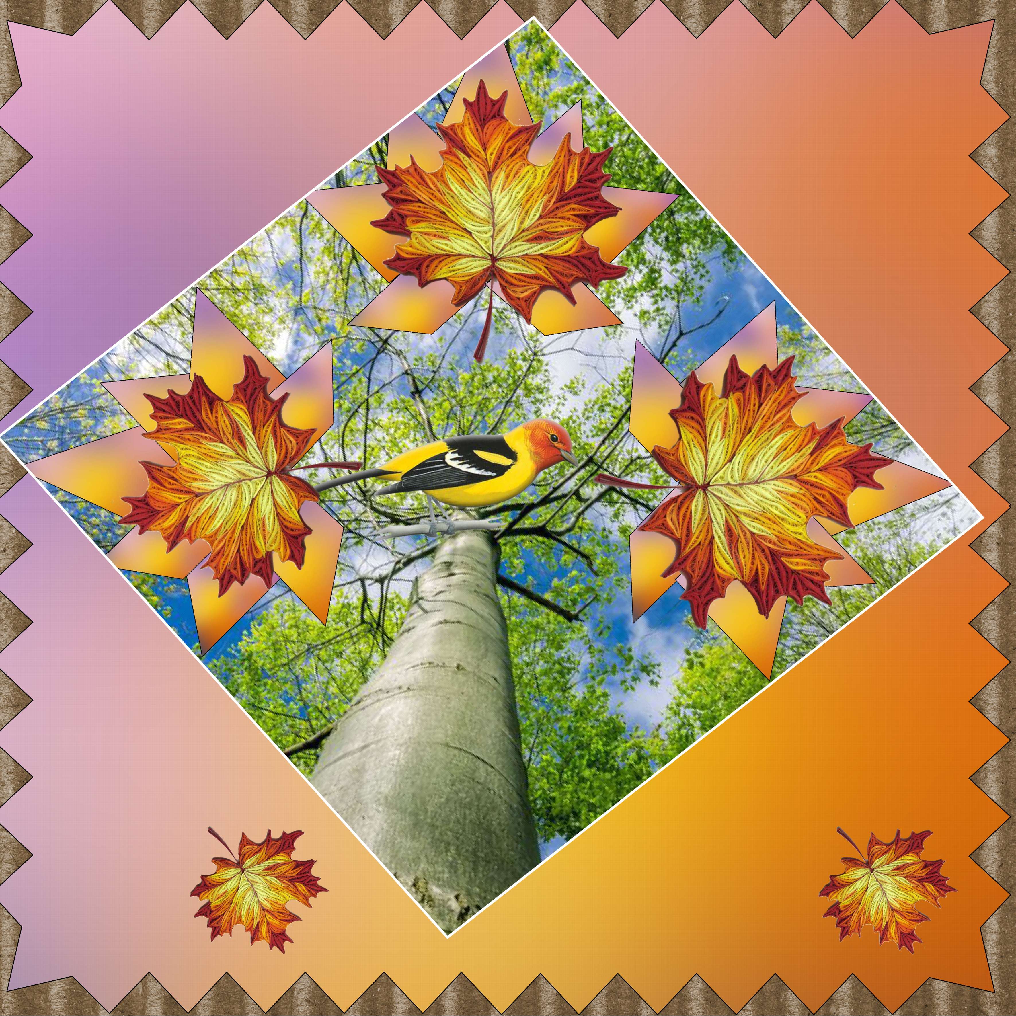 couleurs d automne.jpg