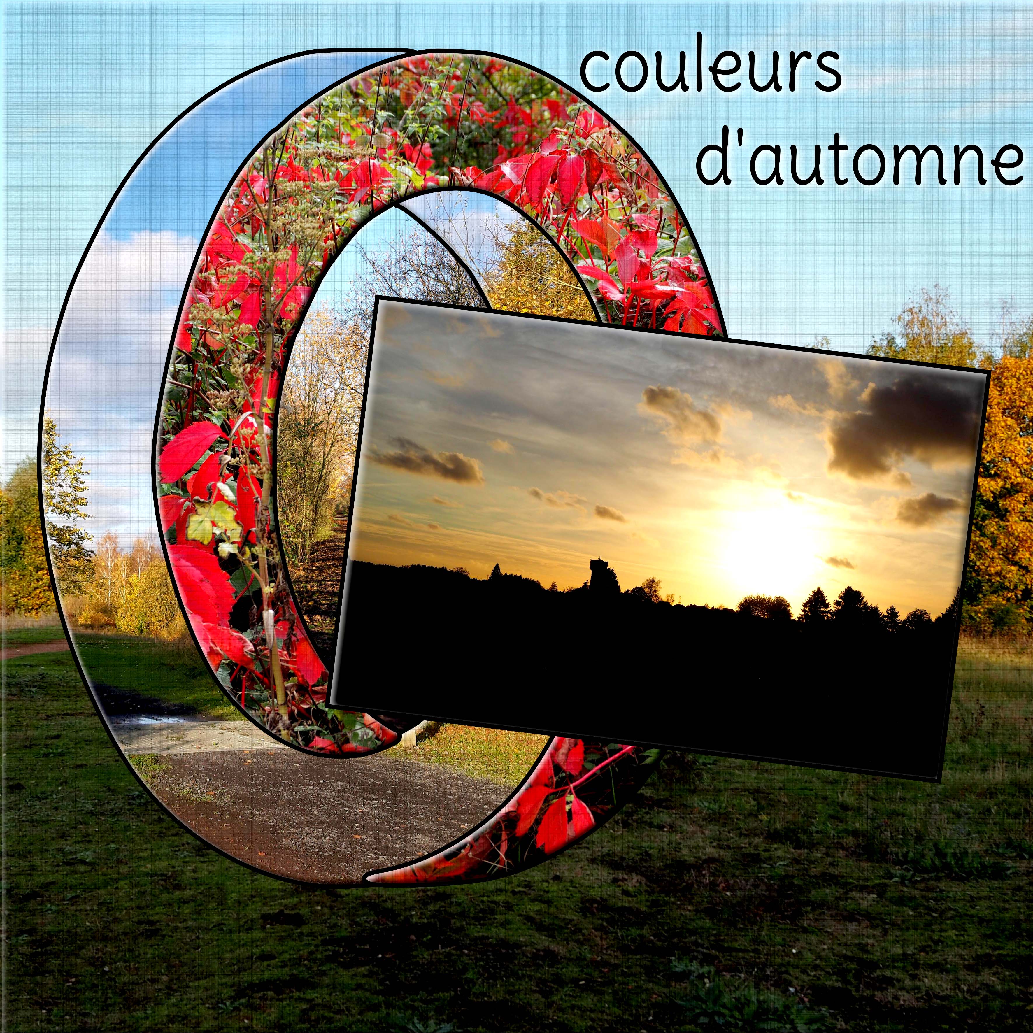 COULEURS D'AUTOMNE 1.jpg