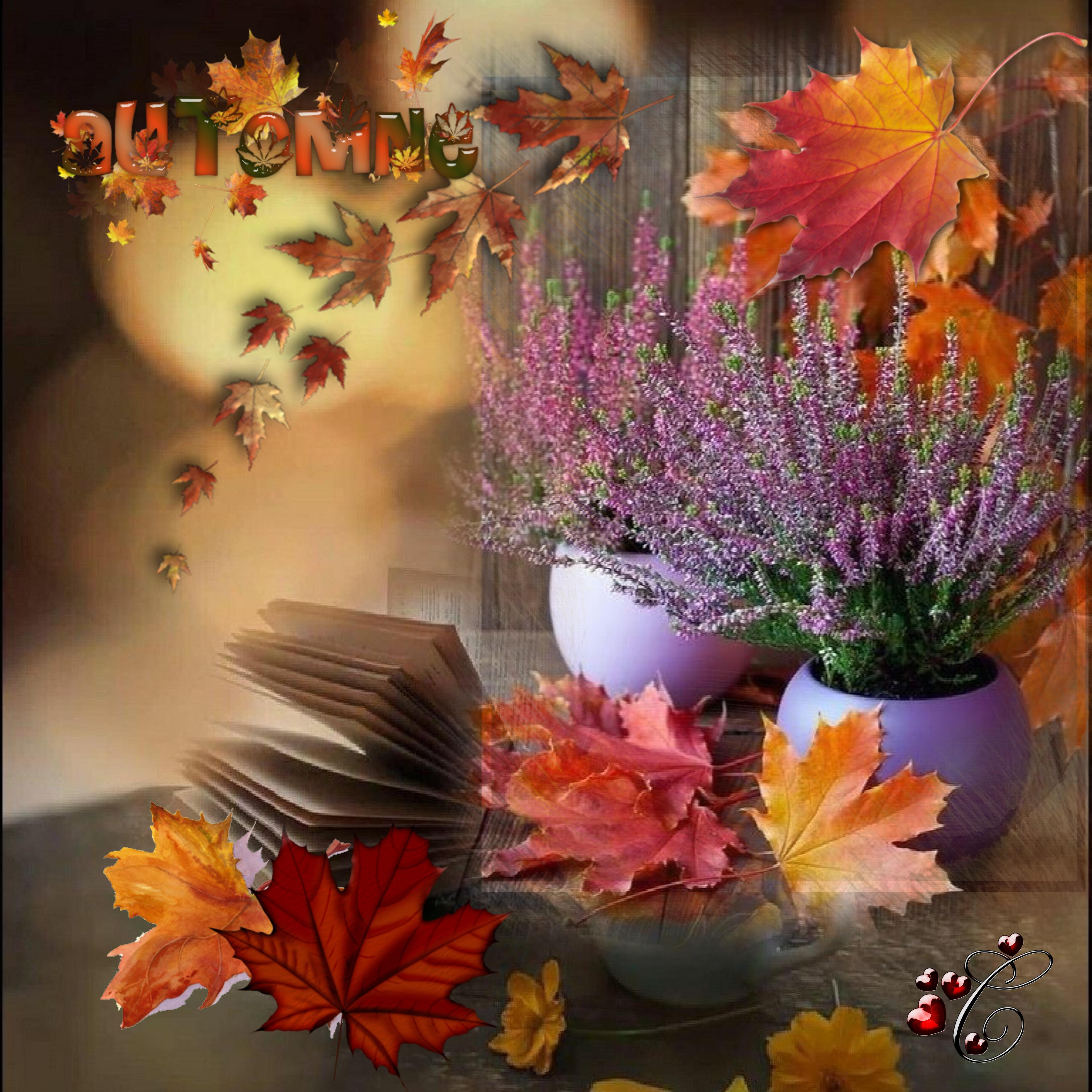 couleurs d'automne.  Christine