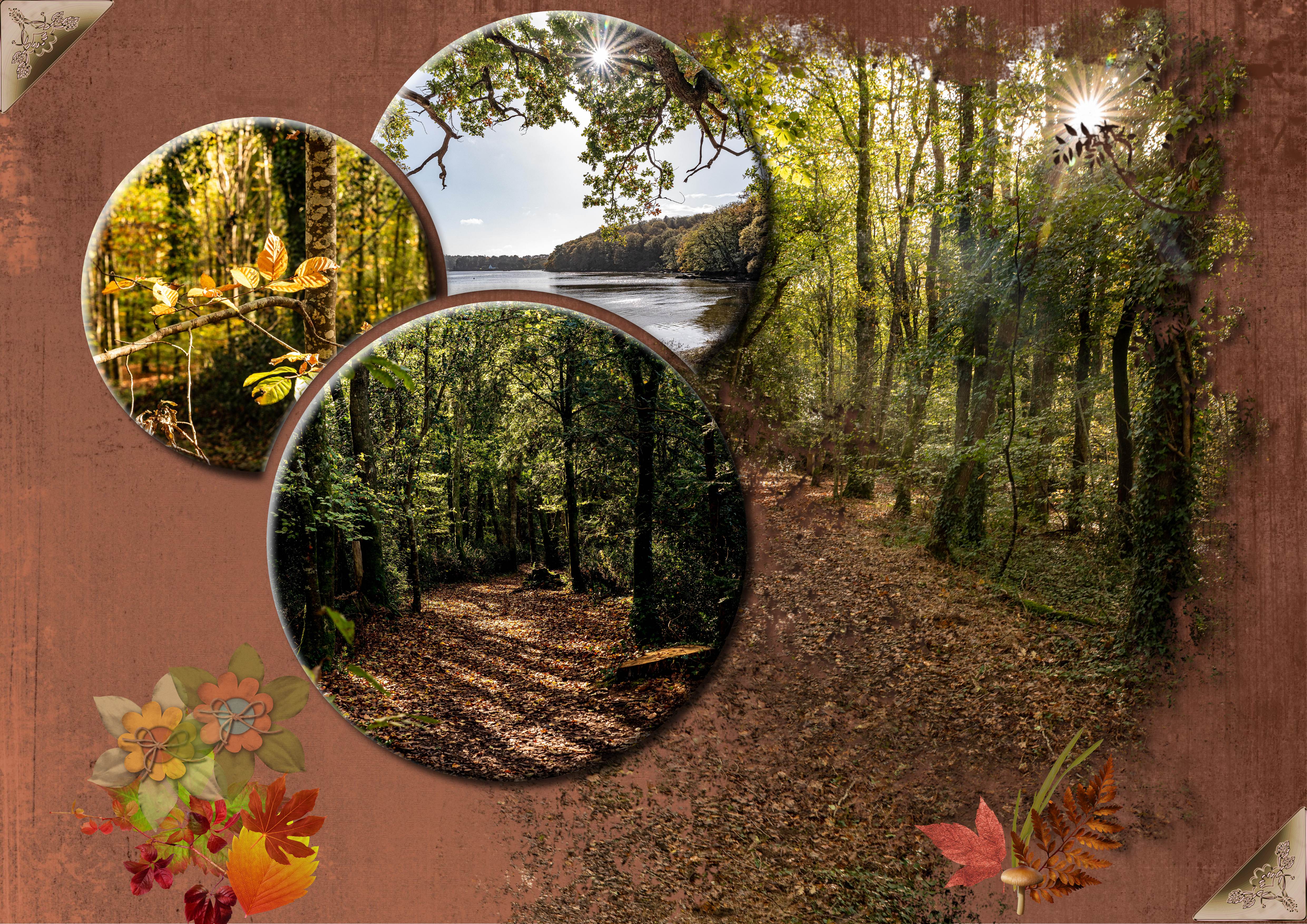 Couleurs d'automne III.jpg