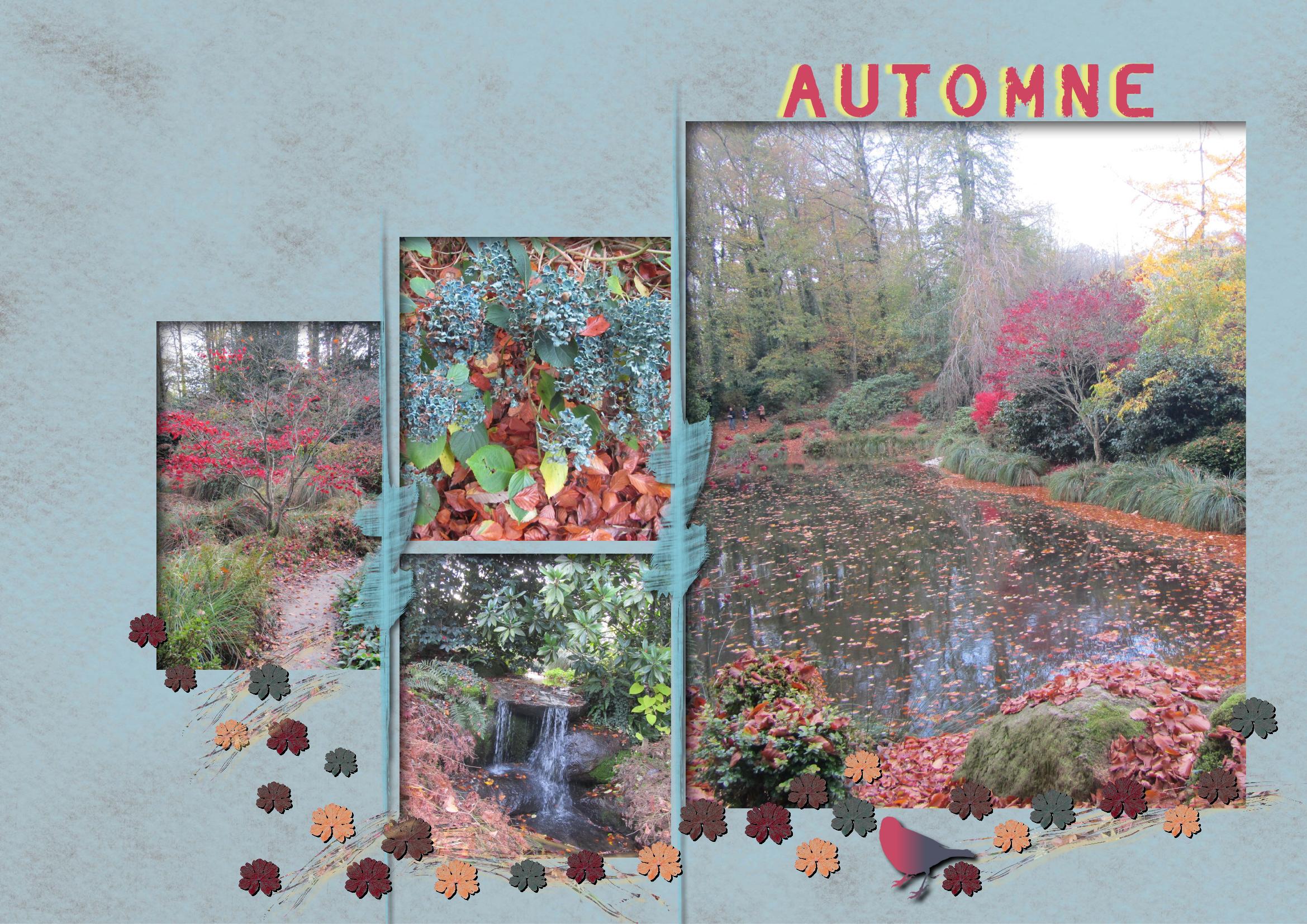 Couleurs d'automne.jpg