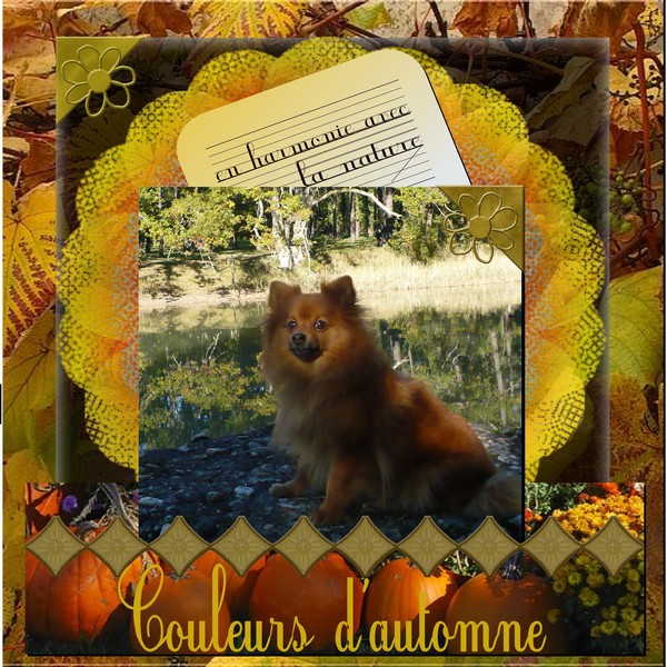 couleurs d'automne