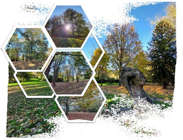 Couleurs de la nature