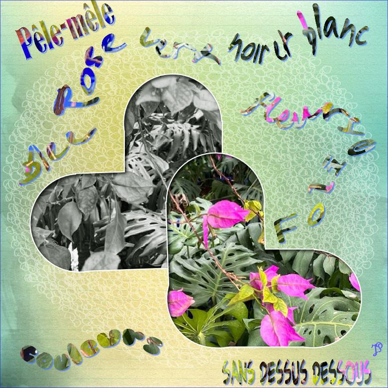 couleurs folies .jpg