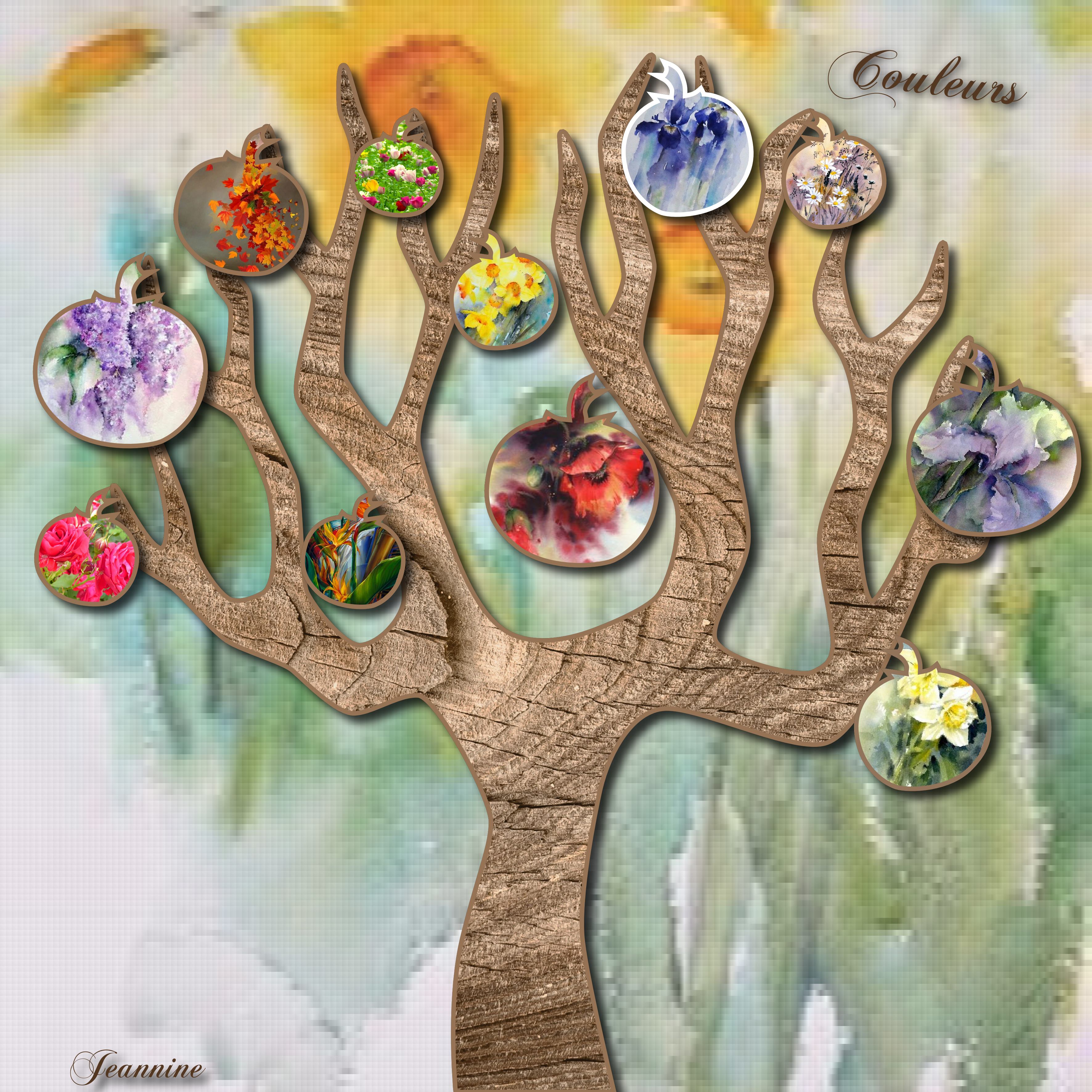 Couleurs Jeannine.jpg