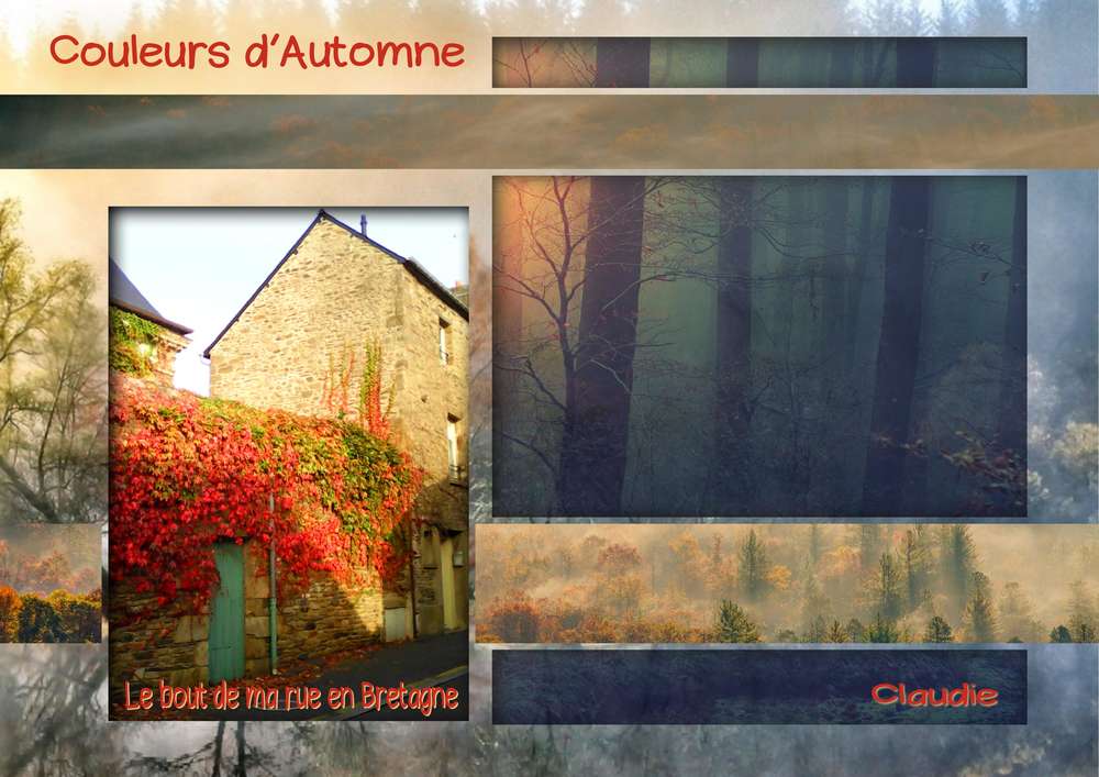 Couleurs_d_automne-CQY--