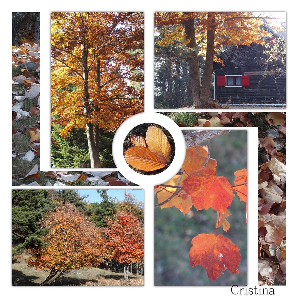 couleurs_d_automne     photos perso