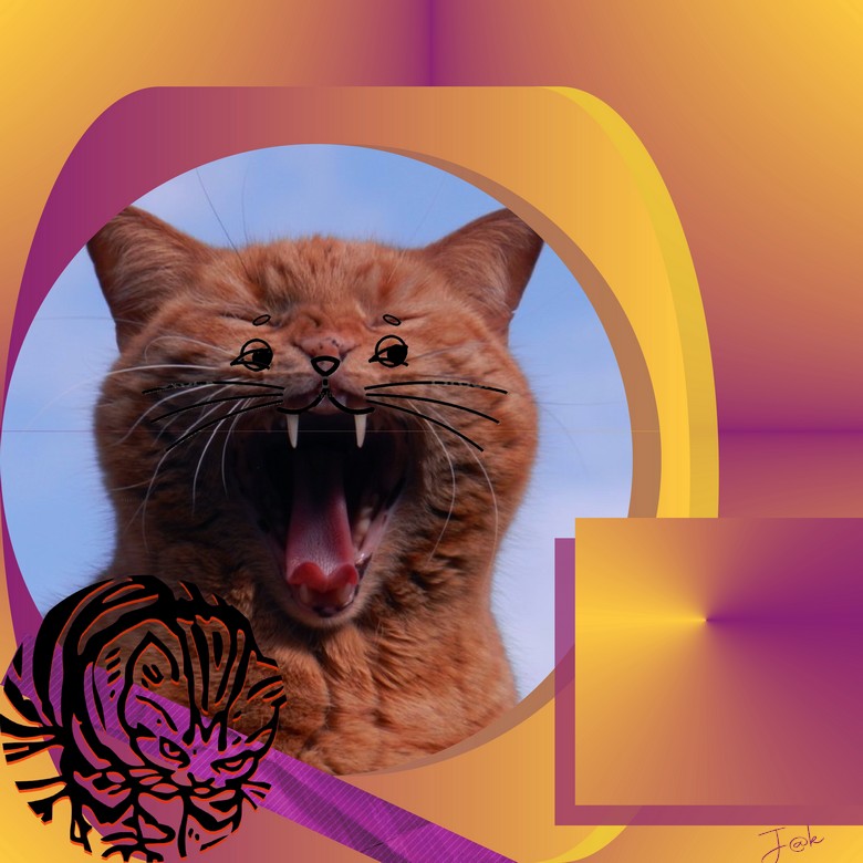 coup double  challenge chat et dictee.jpg