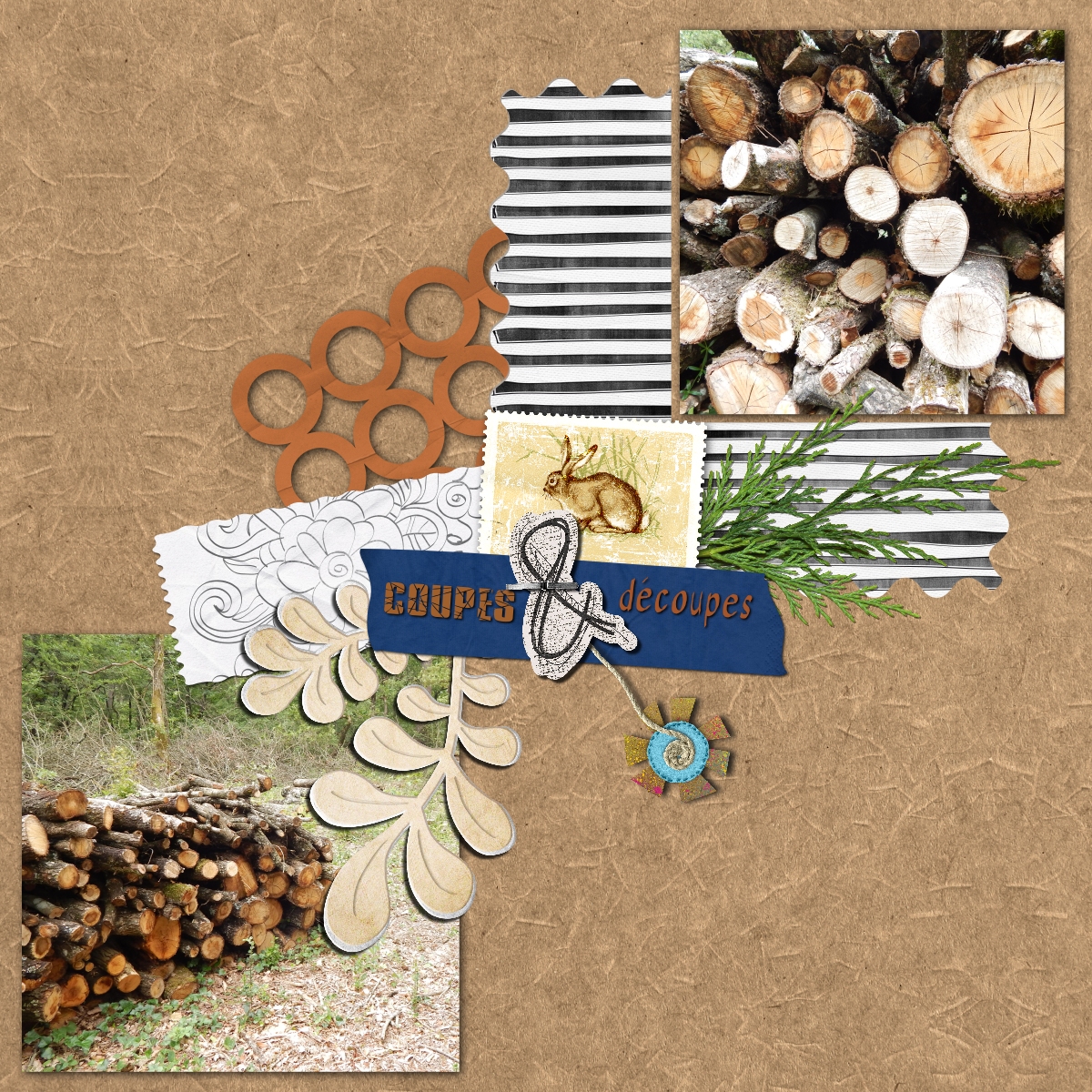 coupes et découpes.jpg