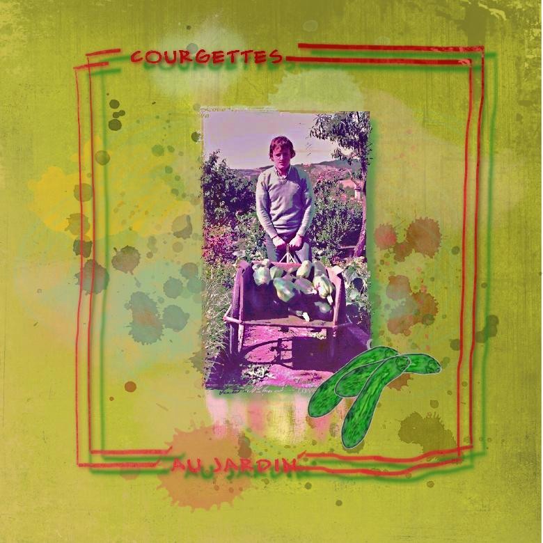 COURGETTES AU JJARDIN.jpg