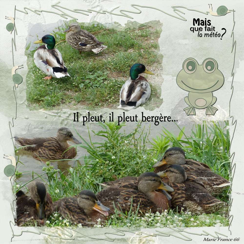 COUVEE 2018 AU BORD DU LAC