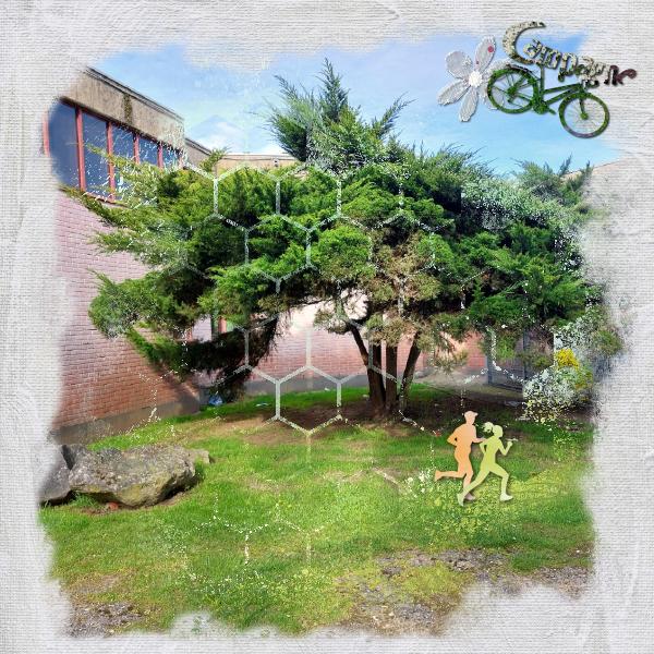 creation gabarit et lettrine.3.jpg