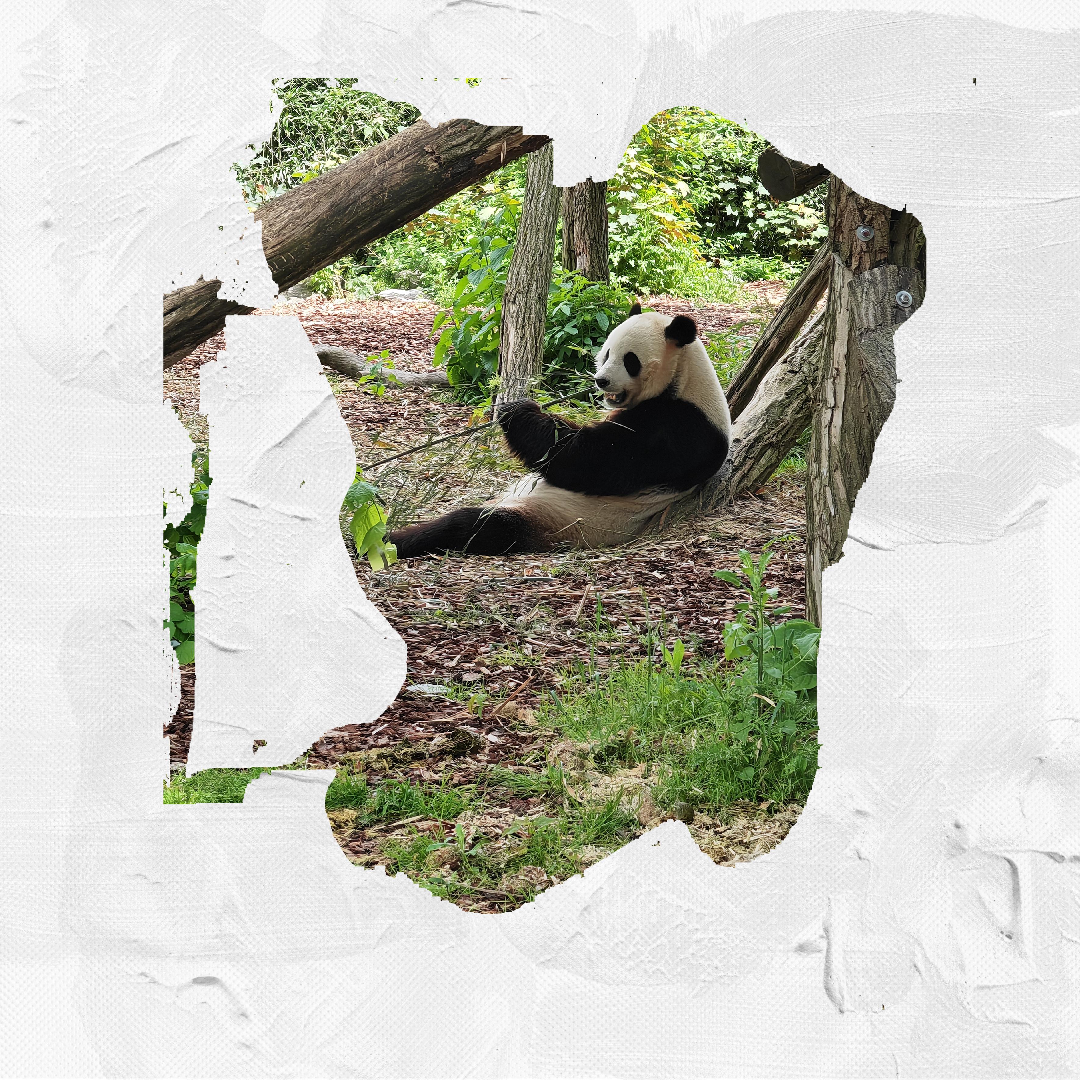 Création masque 03 09 2023 (page 5).jpg