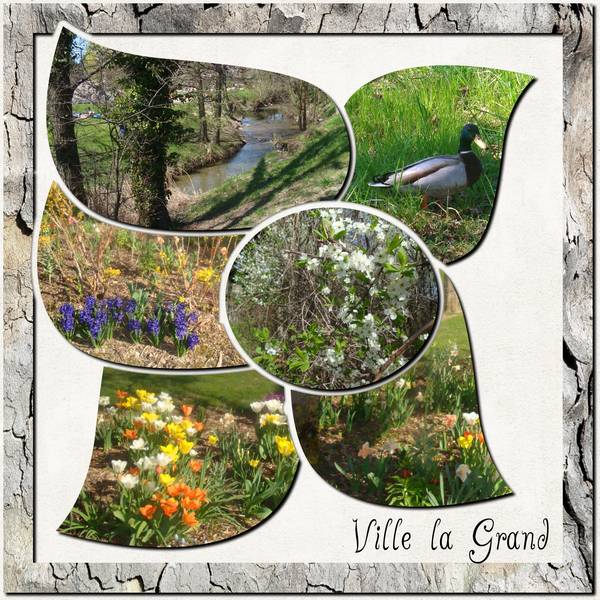 créations_spécial_azza