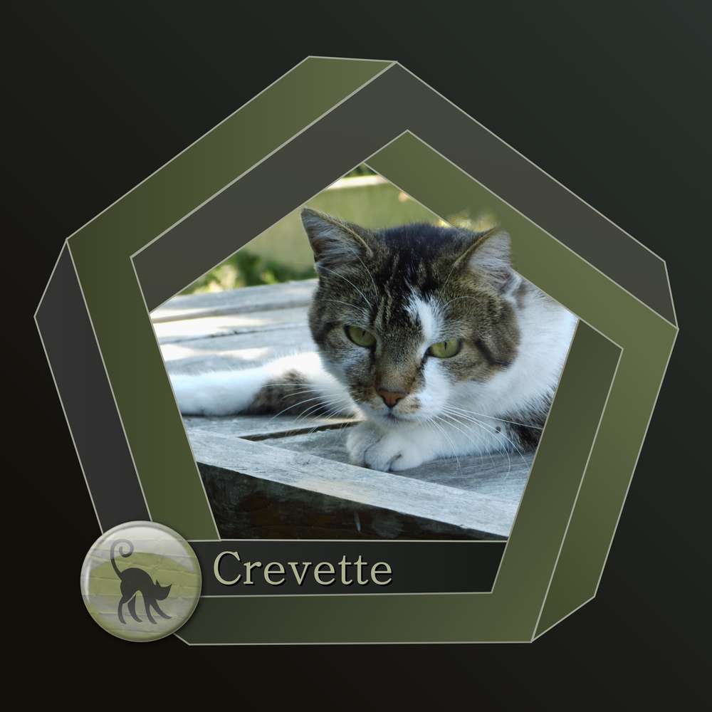 CREVETTE