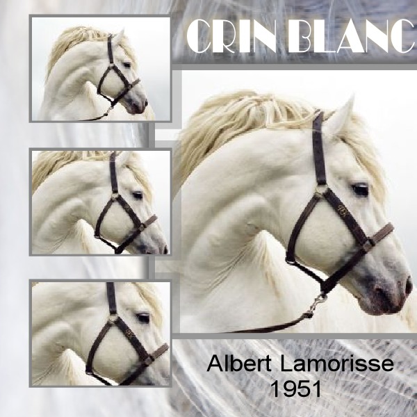 Crin Blanc
