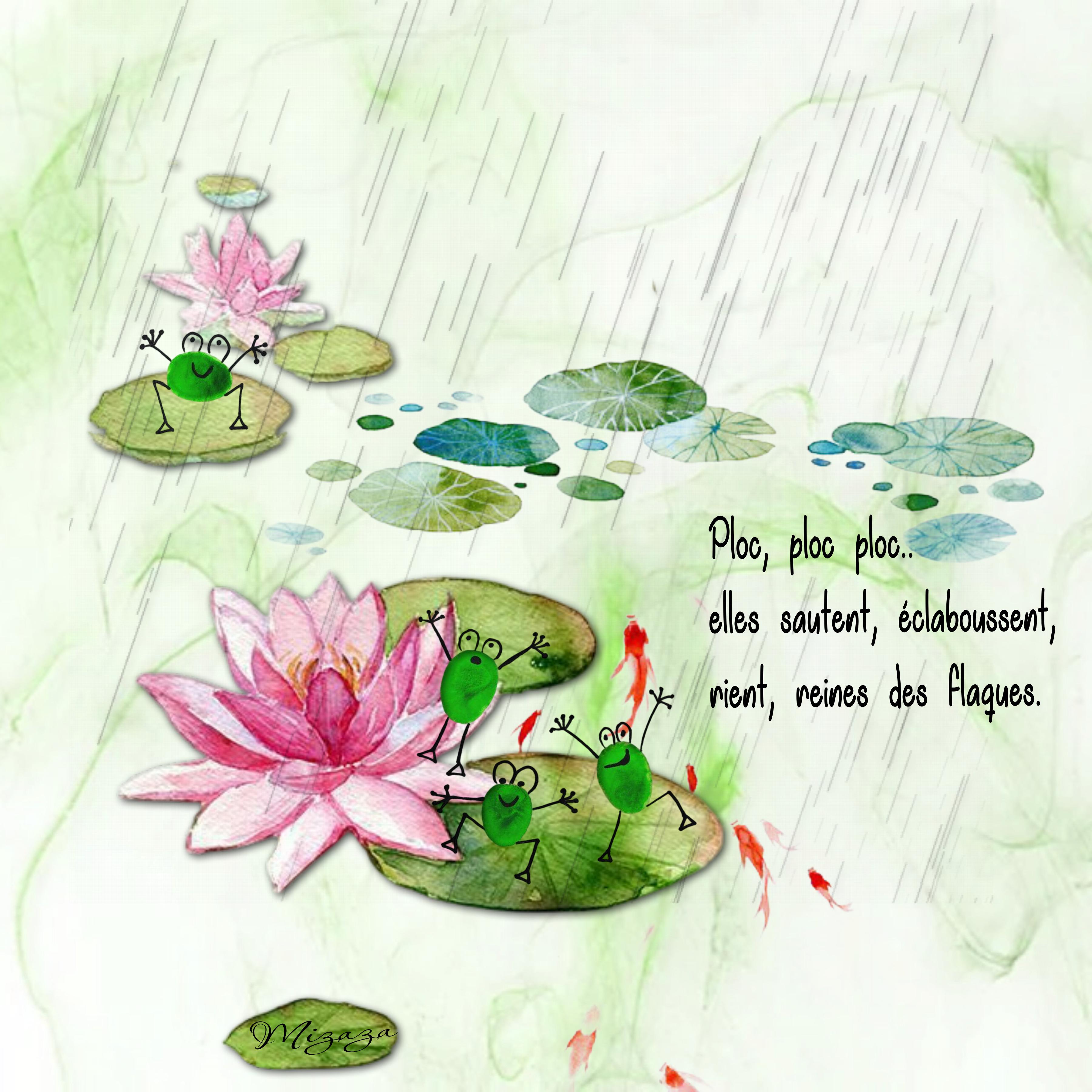 croquis de grenouilles