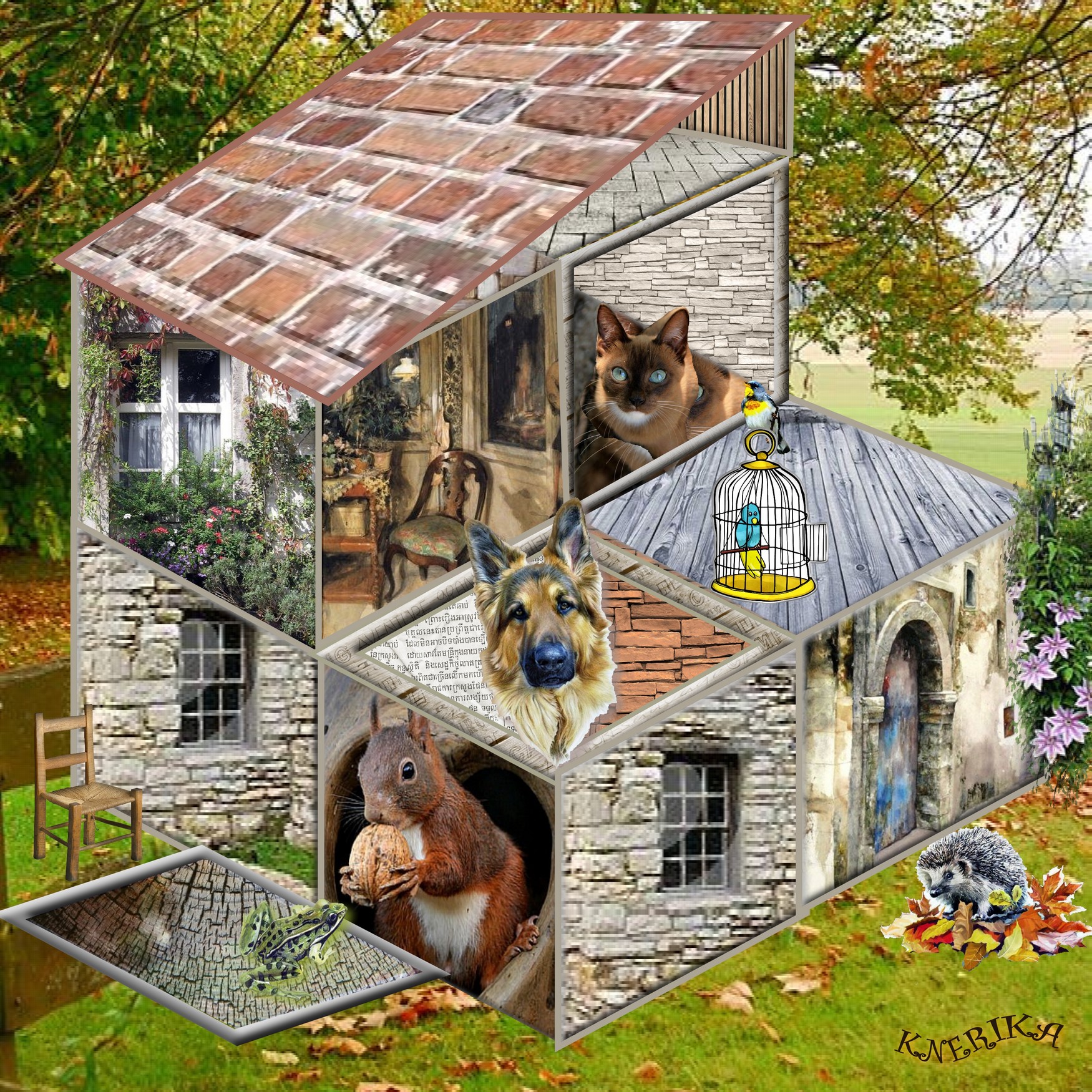 cubes habitables,   Anne Marie .jpg