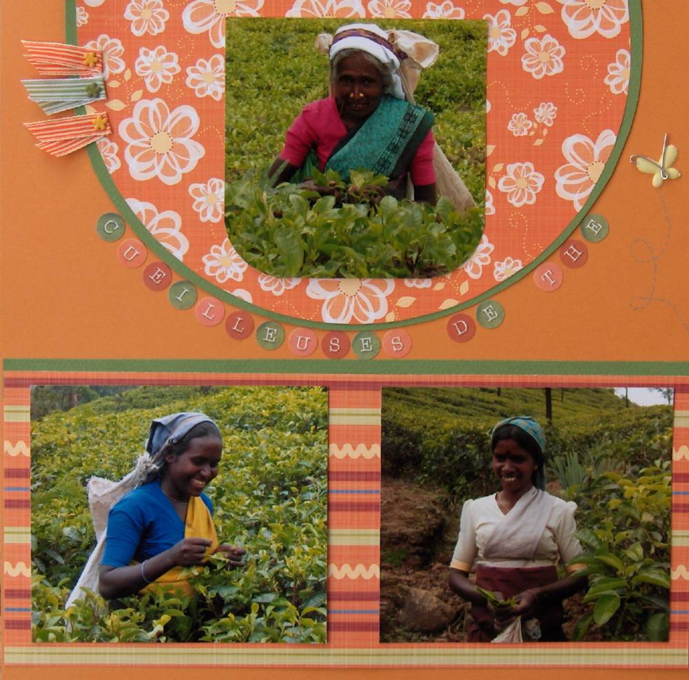 Cueileuses de thé
