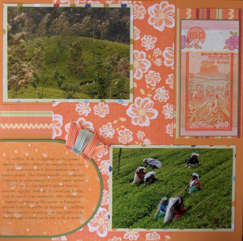 Cueilleuses de thé (suite)