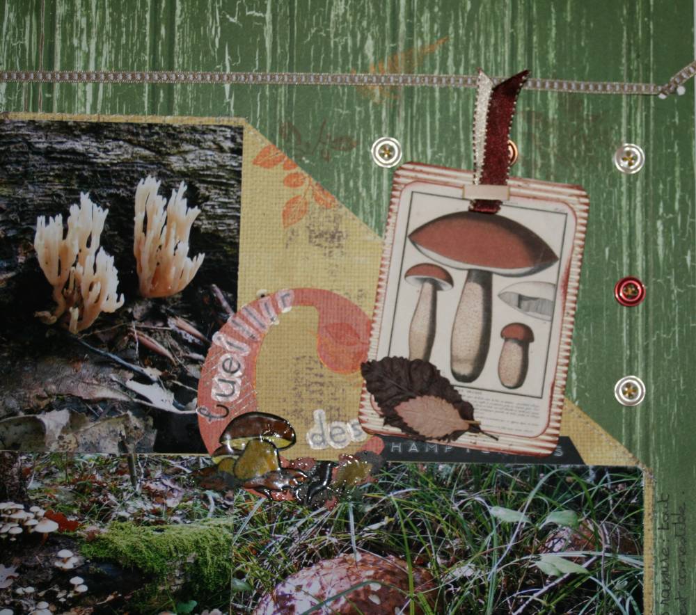 cueillir ... (détails)