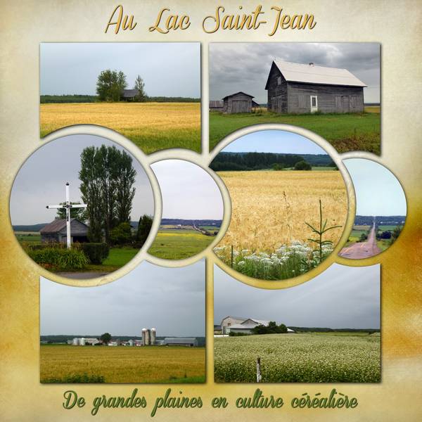 Culture céréalière au Lac St-Jean