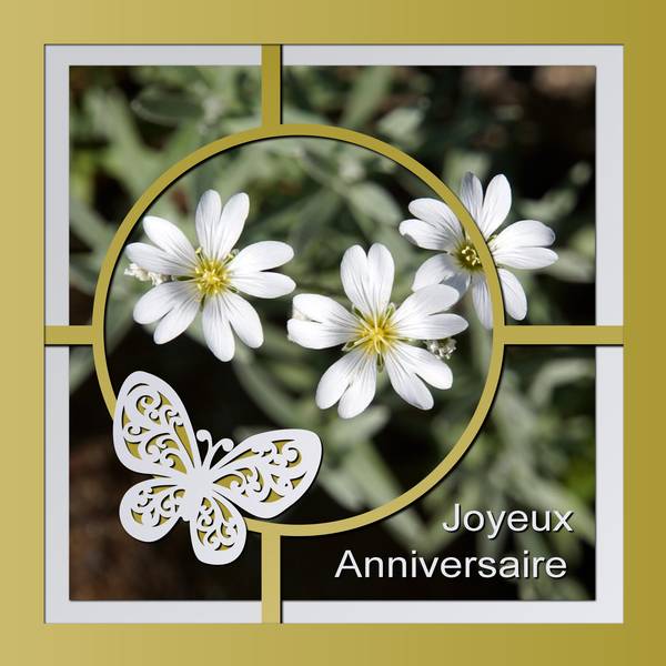 CYANNE - JOYEUX ANNIVERSAIRE