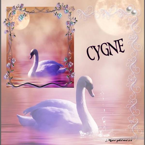 CYGNE