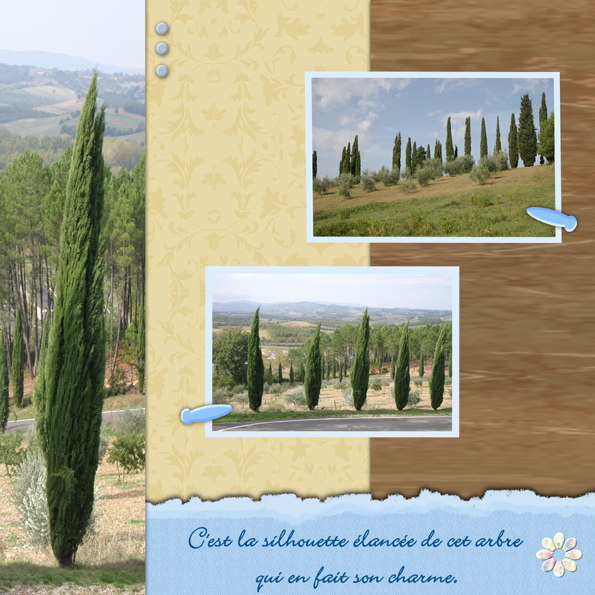 cyprès page de droite