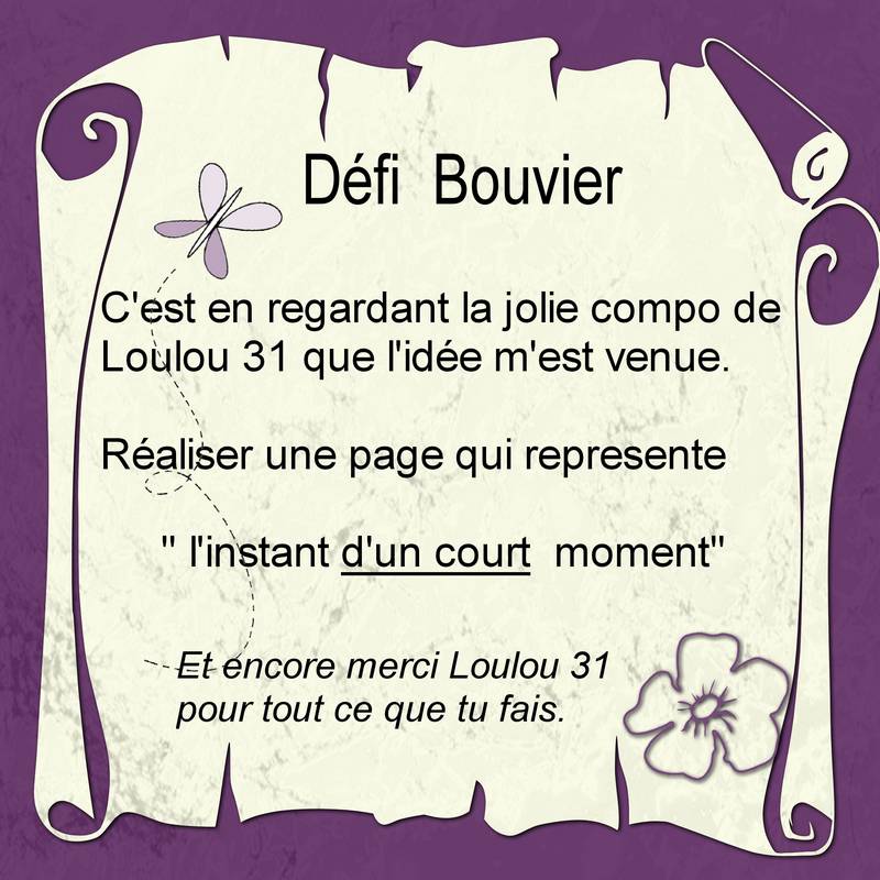 Défi Bouvier