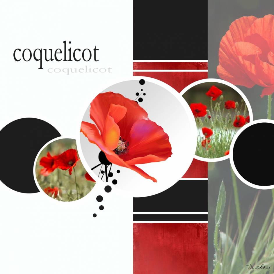 Défi Coquelicot Bouvier