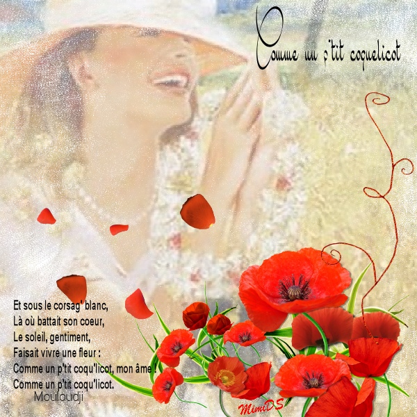 Défi Laurette S27 Coquelicot