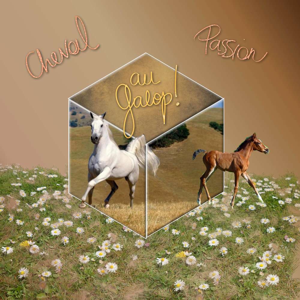 d&amp;fi cube  et hors cadre