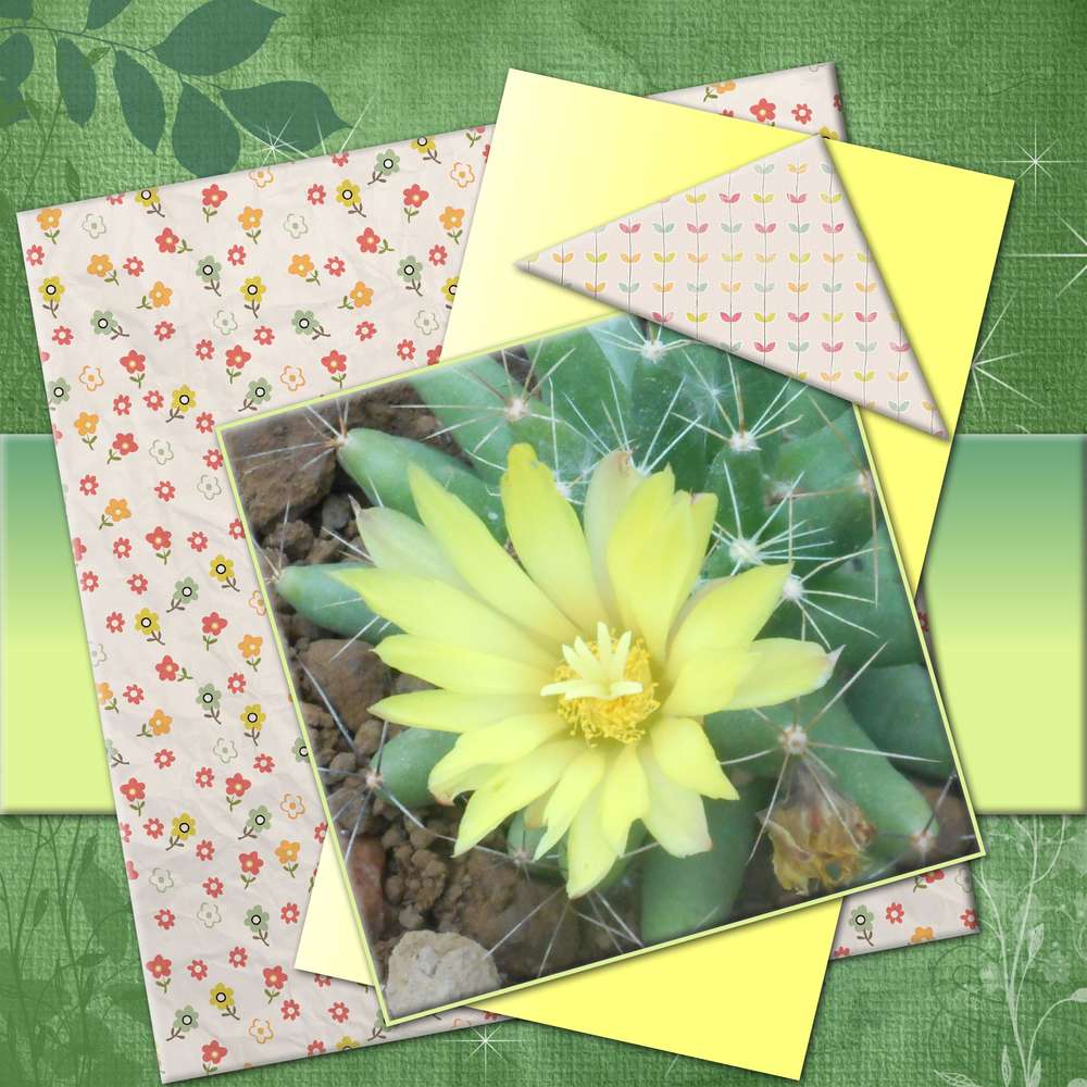 d&amp;fi gilberte template