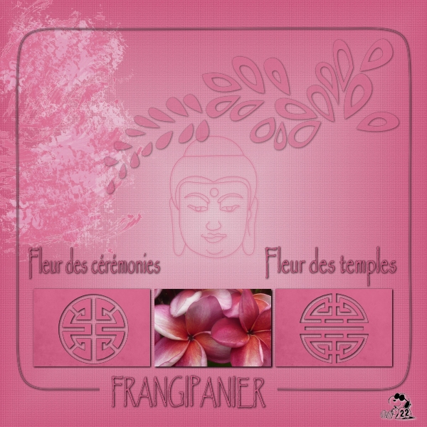 D�fi Max - Couleur rose