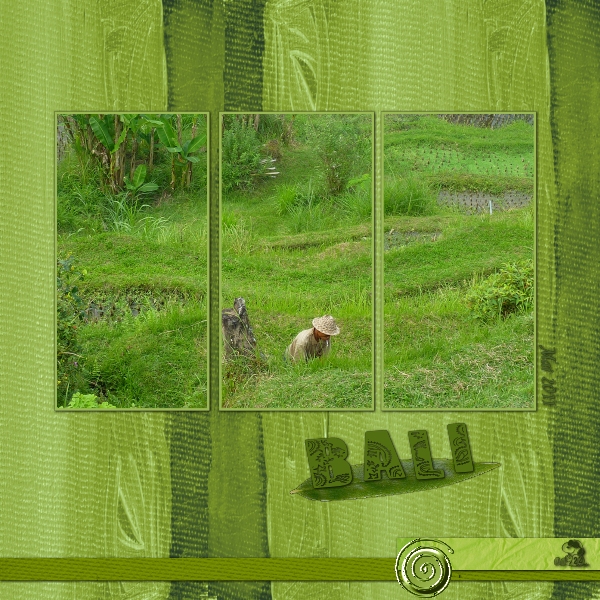 D�fi vert Papillon