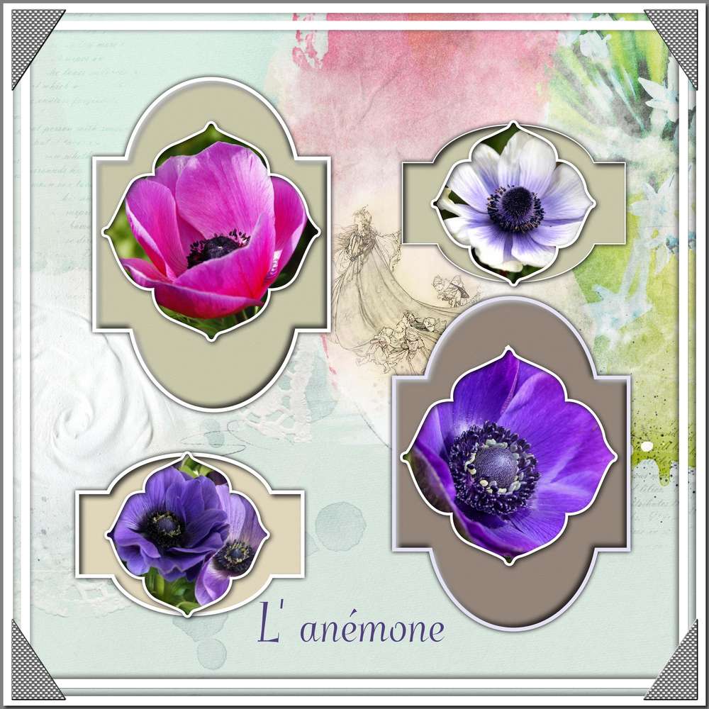 D__éfi_Max_-_Challenge Nature Thème divinités mythologie