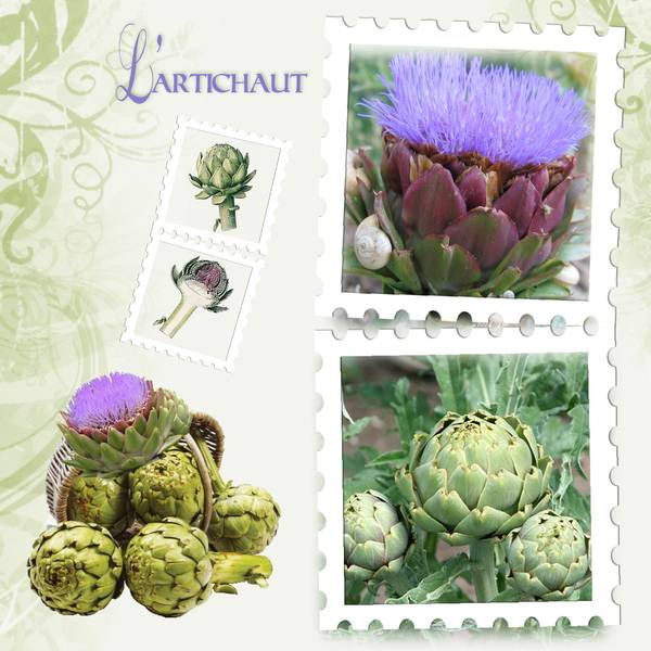 D__fi__l__gume_et_fruit