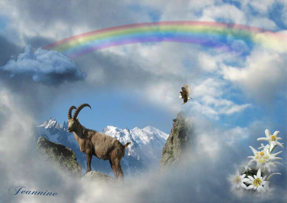 D__fi_arc_en_ciel_bleu1