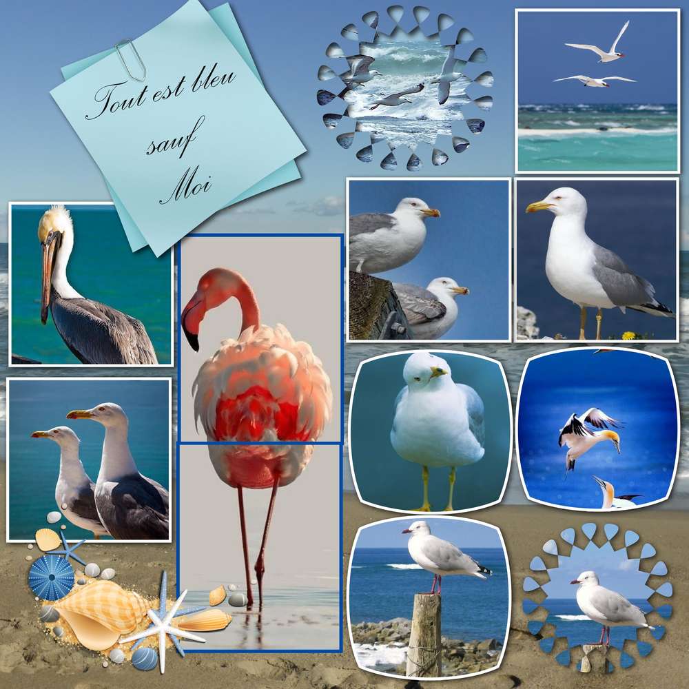 d__fi_arc_en_ciel_bleur