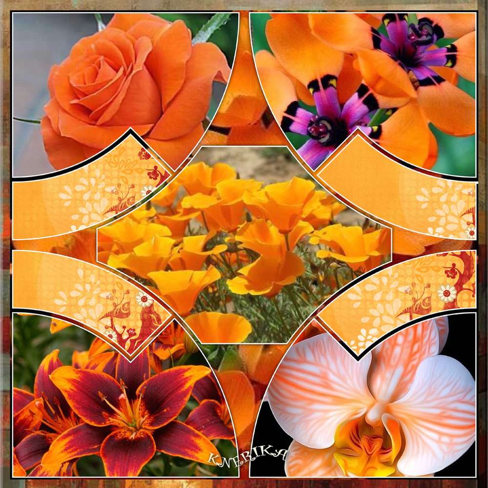 D__fi_arc_en_ciel_orange