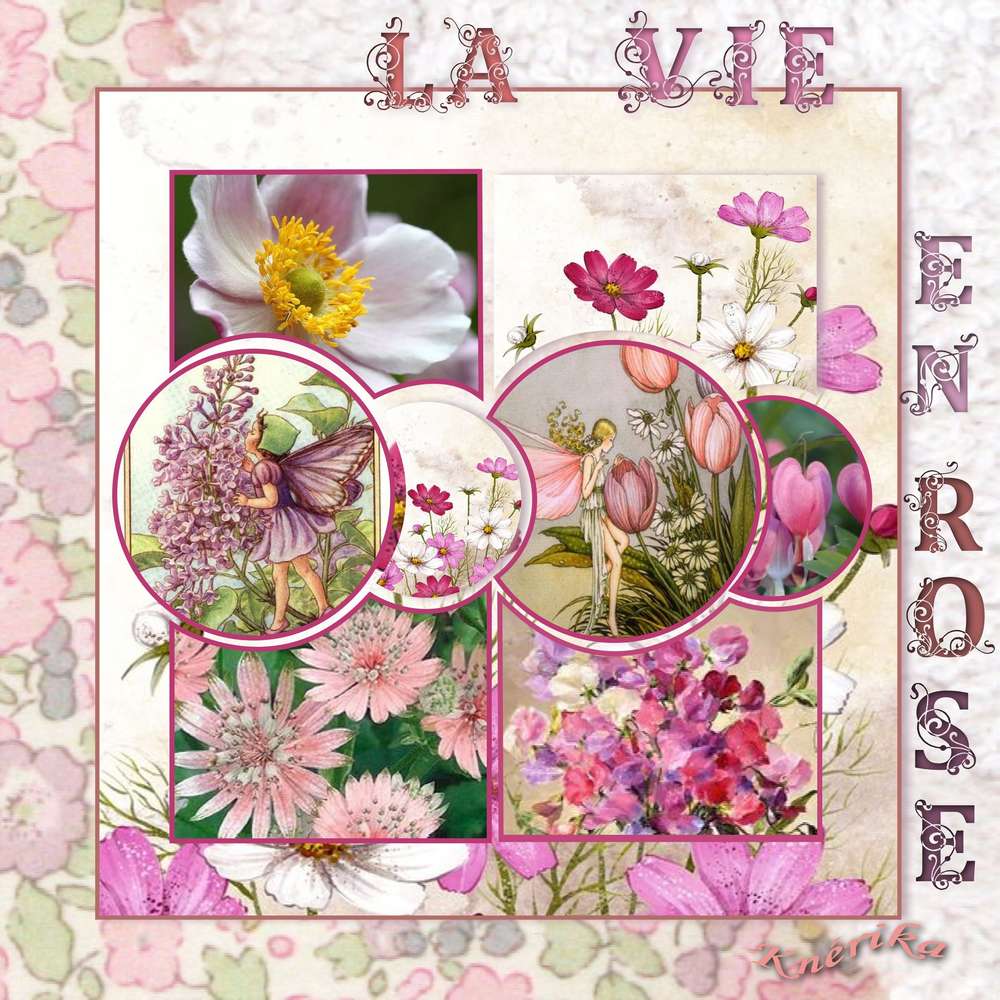 D__fi_arc_en_ciel_rose